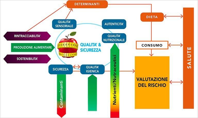 Grafico