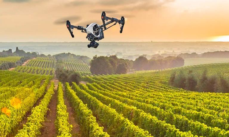 Drone in un campo coltivato