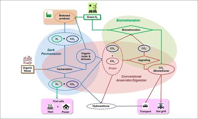 Flow diagram representing different steps of three major biological processes: dark fermentation, conventional anaerobic digestion and bio-methanation.