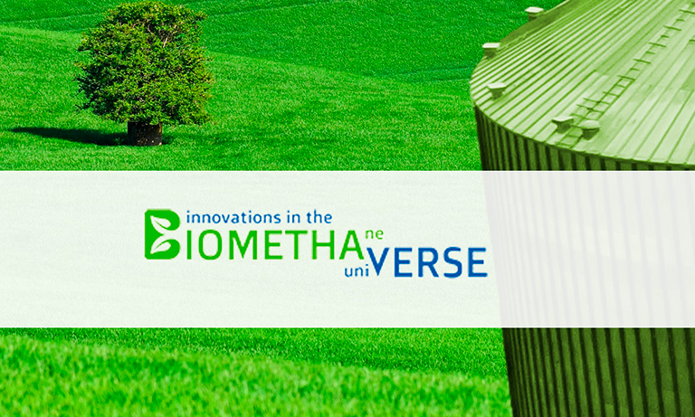 biomethaverse