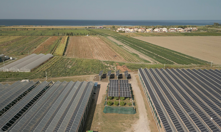 impianto agrivoltaico