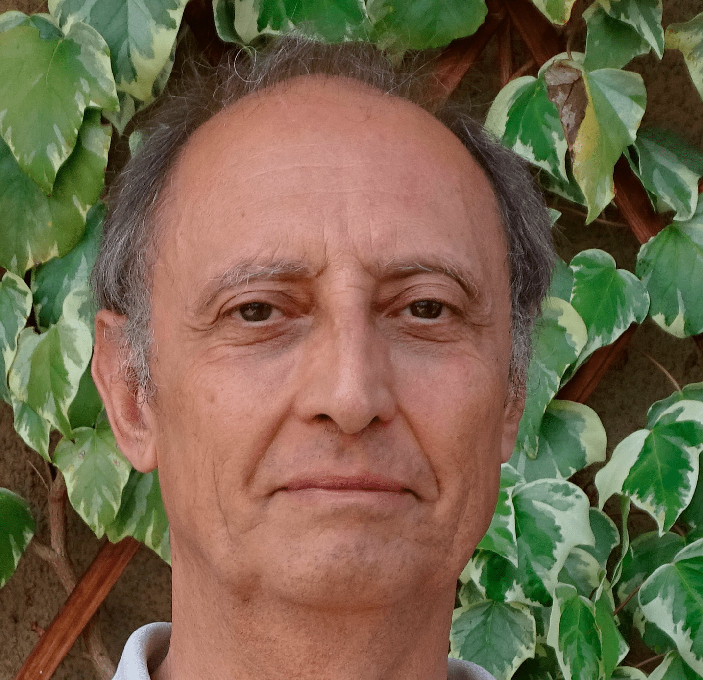 Maurizio Lontano