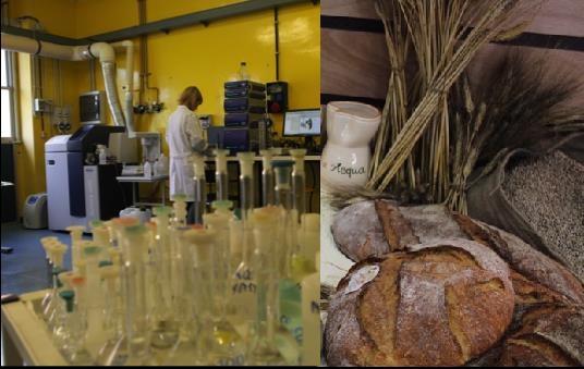 In particolare illustrano in sequenza i prodotti agroalimentari e da forno e un dettaglio dei laboratori e degli impianti presenti presso il Centro Ricerche Casaccia.