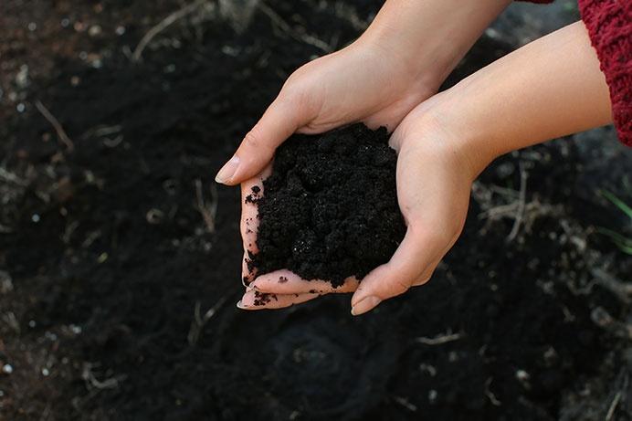 mani che raccolgono la terra