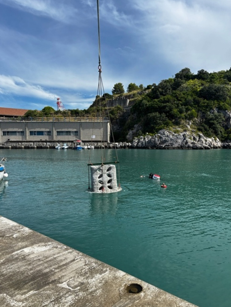 installazione del reef