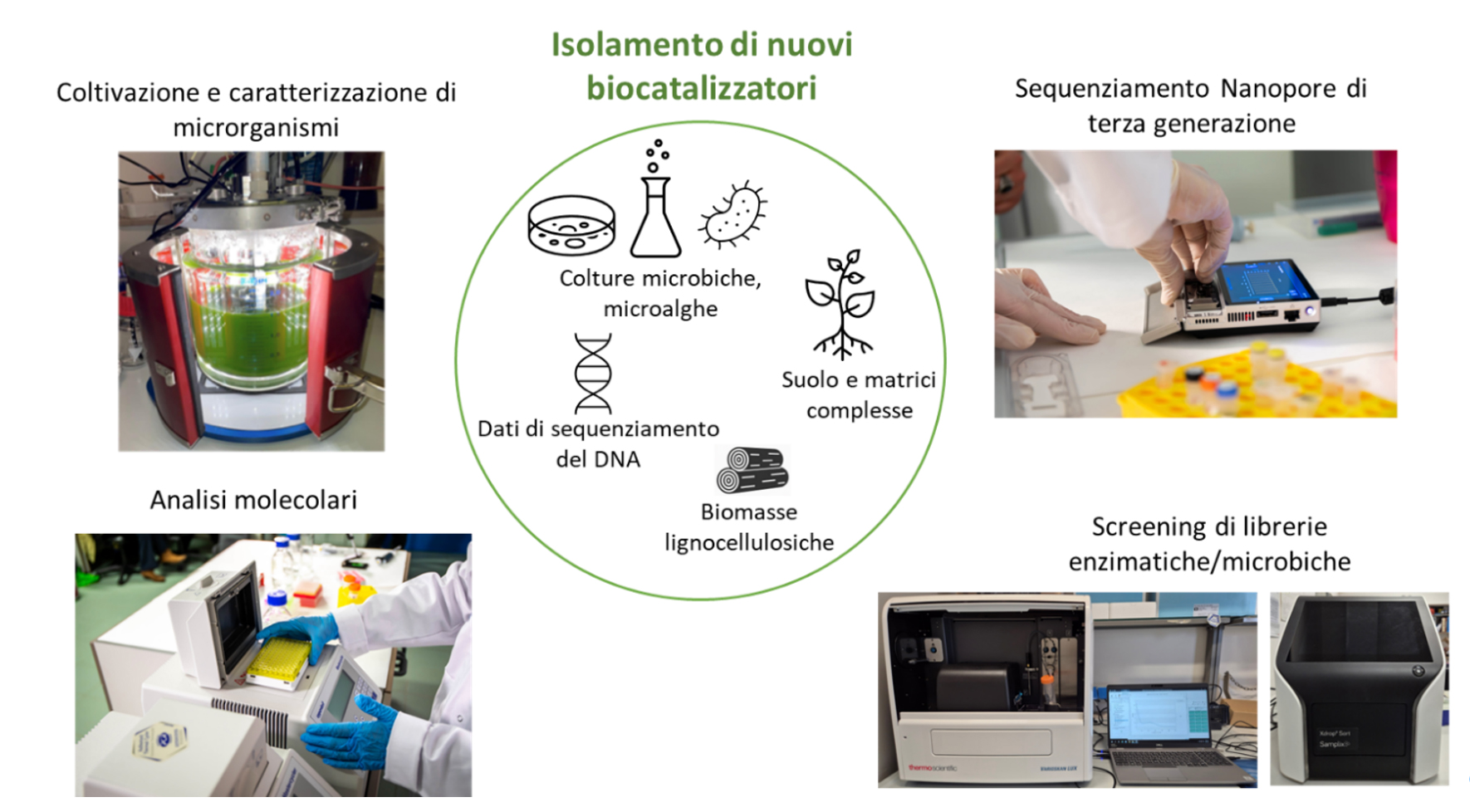 immagini varie