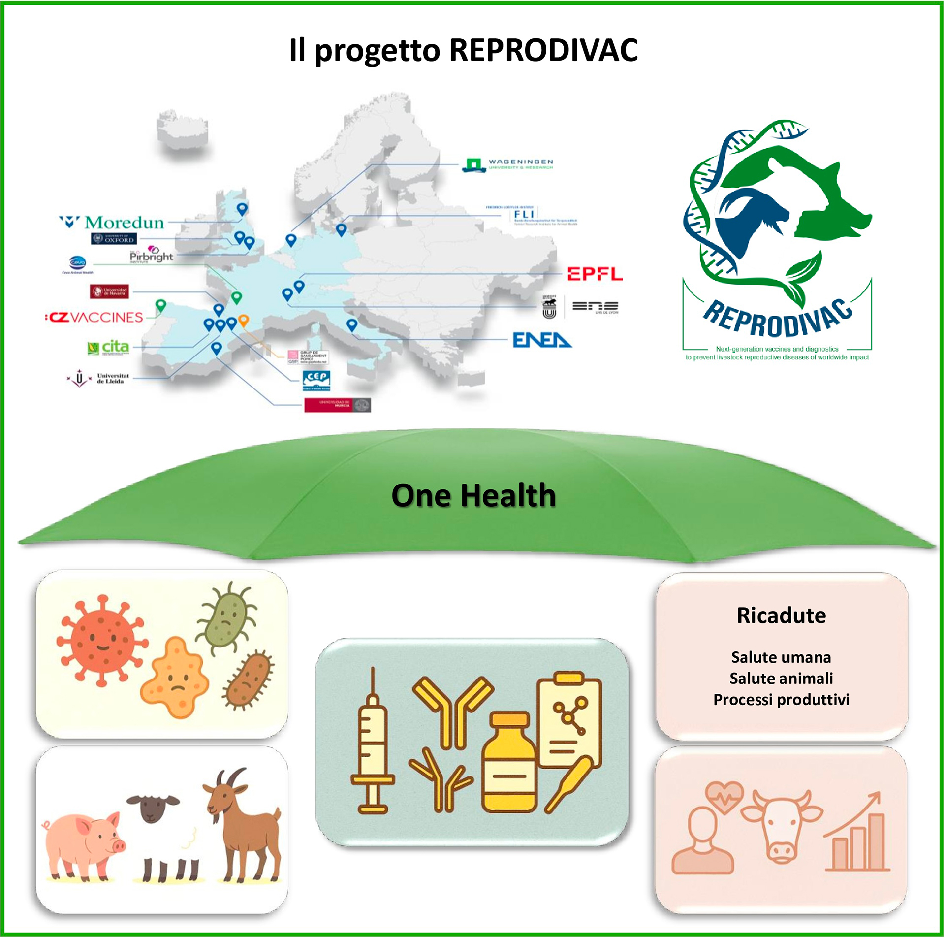 La figura è organizzata in due parti disposte verticalmente. In alto c’è il disegno di una mappa dell’Europa con i partner coinvolti disposti sui relativi paesi di appartenenza, sulla destra il logo del progetto.  In basso, un grande ombrello verde di protezione con la scritta “One Health” che copre quattro aree tematiche disposte orizzontalmente. Le aree rappresentano procedendo da sinistra a destra: alcuni agenti patogeni stilizzati con sotto alcuni animali da allevamento (una capra, un maiale e una pecora); al centro una siringa e confezioni di vaccini e farmaci stilizzati; a destra, in alto una casella di testo con la scritta “ ricadute su salute umana,  salute animale e processi produttivi” sotto la casella di testo sono rappresentate schematicamente la “salute umana” con il disegno di un busto umano e un cuore, la “salute animale” con il disegno della la testa di una mucca e il “processo produttivo” con un grafico a barre crescenti che indica la produzione di farmaci e vaccini.