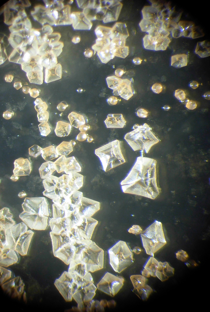 cristalli di calcite