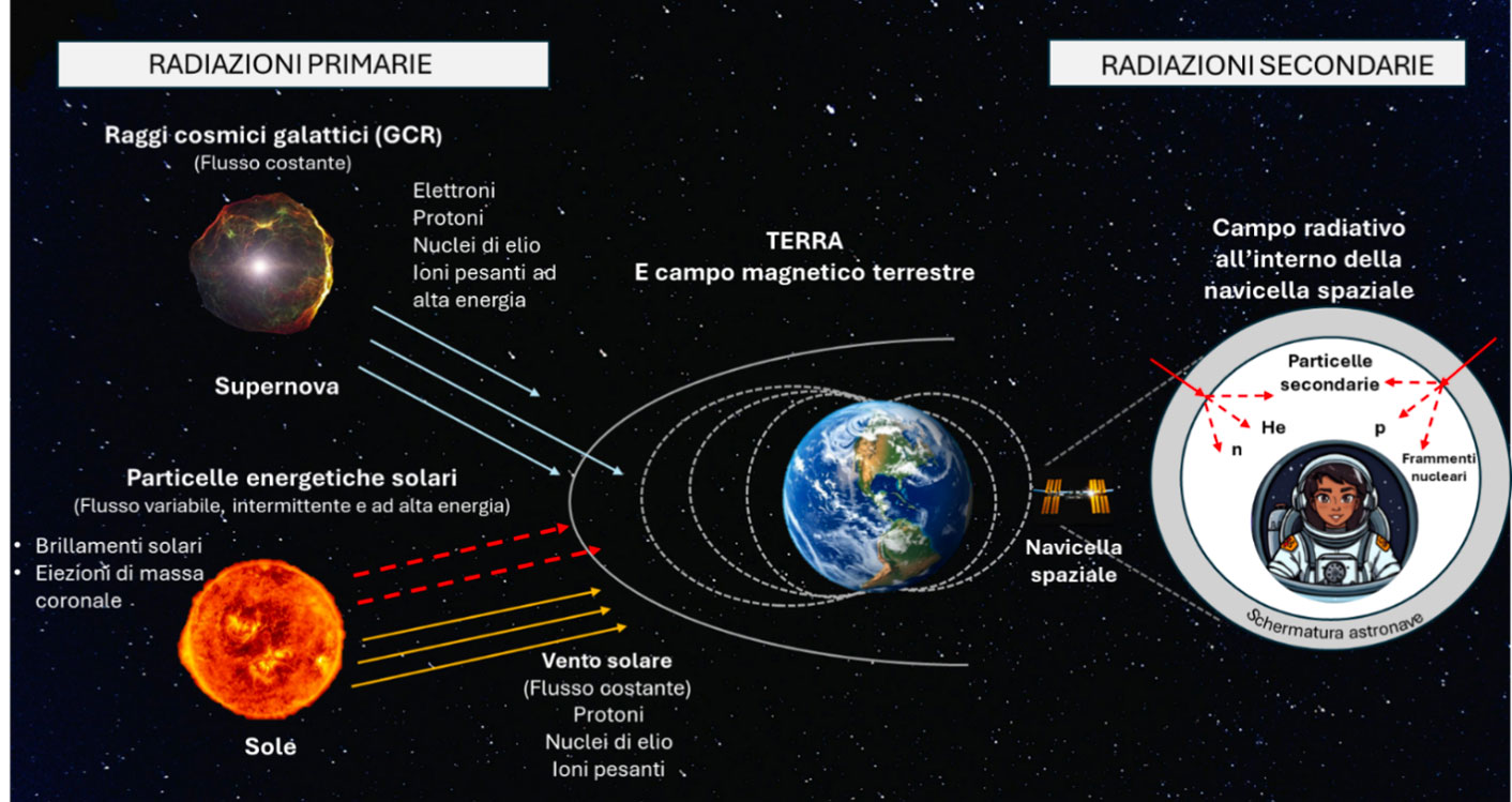L’immagine mostra le principali sorgenti di radiazione nello spazio e il loro effetto su Terra e astronauti. A sinistra ci sono le radiazioni primarie, provenienti da supernove e dal Sole. Le supernove emettono raggi cosmici galattici: elettroni, protoni e ioni ad alta energia. Il Sole produce vento solare costante e particelle energetiche durante brillamenti ed espulsioni di massa coronale. Queste particelle viaggiano nello spazio e incontrano il campo magnetico terrestre, che ne devia una parte. Una navicella spaziale, fuori dalla protezione del campo magnetico, è più esposta. Le radiazioni che colpiscono lo scafo generano radiazioni secondarie all’interno. Queste comprendono protoni, neutroni, elio e frammenti nucleari. L’immagine evidenzia l’importanza della schermatura spaziale per la sicurezza degli astronauti.