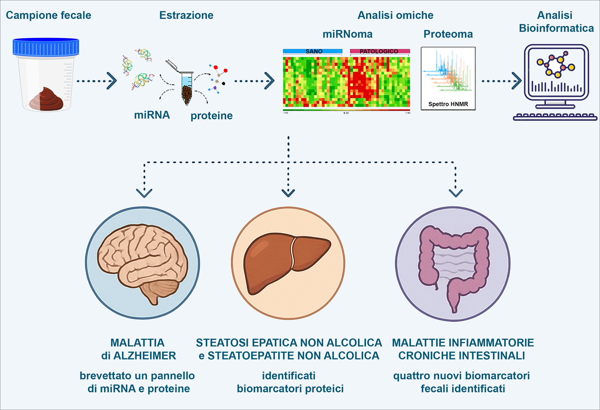 Nella figura in alto a sx c'è l'immagine di un campione fecale da questo parte una freccia che indica una provetta da cui vengono estratti miRNA e Proteine. Da qui parte una freccia che indica una heat map che rappresenta l'analisi del miRNoma e uno Spettro HNMR (risonanza magnetica nucleare) che rappresenta l'analisi del proteoma, infine vi è l'immagine di un computer che indica lo svolgimento di analisi bioinformatiche per identificare biomarcatori. Da questa sequenza di immagini parte una freccia (a forchetta) verso il basso che si divide in tre frecce: una indica l'immagine stilizzata di un cervello per indicare la Malattia di Alzheimer  e viene riportata la scritta: brevettato un pannello di miRNA e proteine, una indica l'immagine stilizzata del fegato per rappresentare la Steatosi epatica non alcolica e steatoepatite non alcolica e viene riportata la scritta identificati biomarcatori proteici, infine l'ultima freccia indica l'immagine di un intestino stilizzato che rappresenta le Malattie infiammatorie croniche intestinali, ed è riportata la scritta  quattro nuovi biomarcatori fecali identificati.
