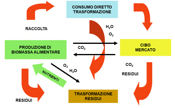 Grafico