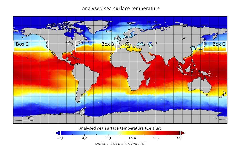 La figura 3 mostra la temperatura superficiale dell’oceano globale nel Dicembre 2018. Nella figura è inserita come esempio di tipica distribuzione spaziale della temperatura superficiale del mare a scala globale. Si nota l’evidente gradiente latitudinale con temperature più alte in zone equatoriali e tropicali e più basse muovendosi verso i poli. La figura è stata generata utilizzando le rianalisi OSTIA v3.0 dal MET Office nell’ambito del progetto C3S. Nella figura sono anche evidenziate le aree degli oceani alle latitudini mediterranee usate per i calcoli dei trend.