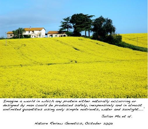 Paesaggio di campagna