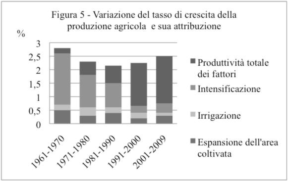 Grafico